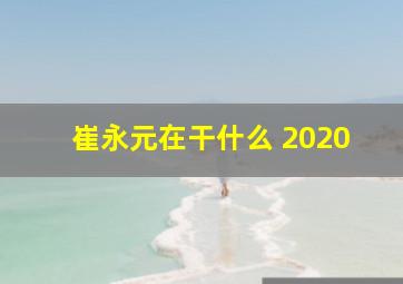 崔永元在干什么 2020